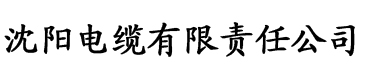 千人斩经典日产视频电缆厂logo